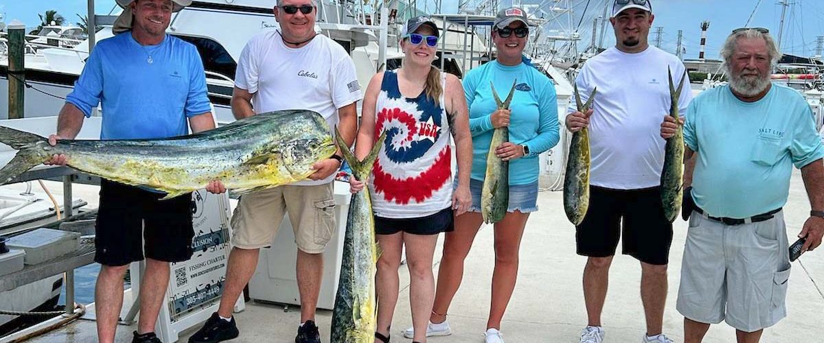 large key west mahi mahi dolphin fish